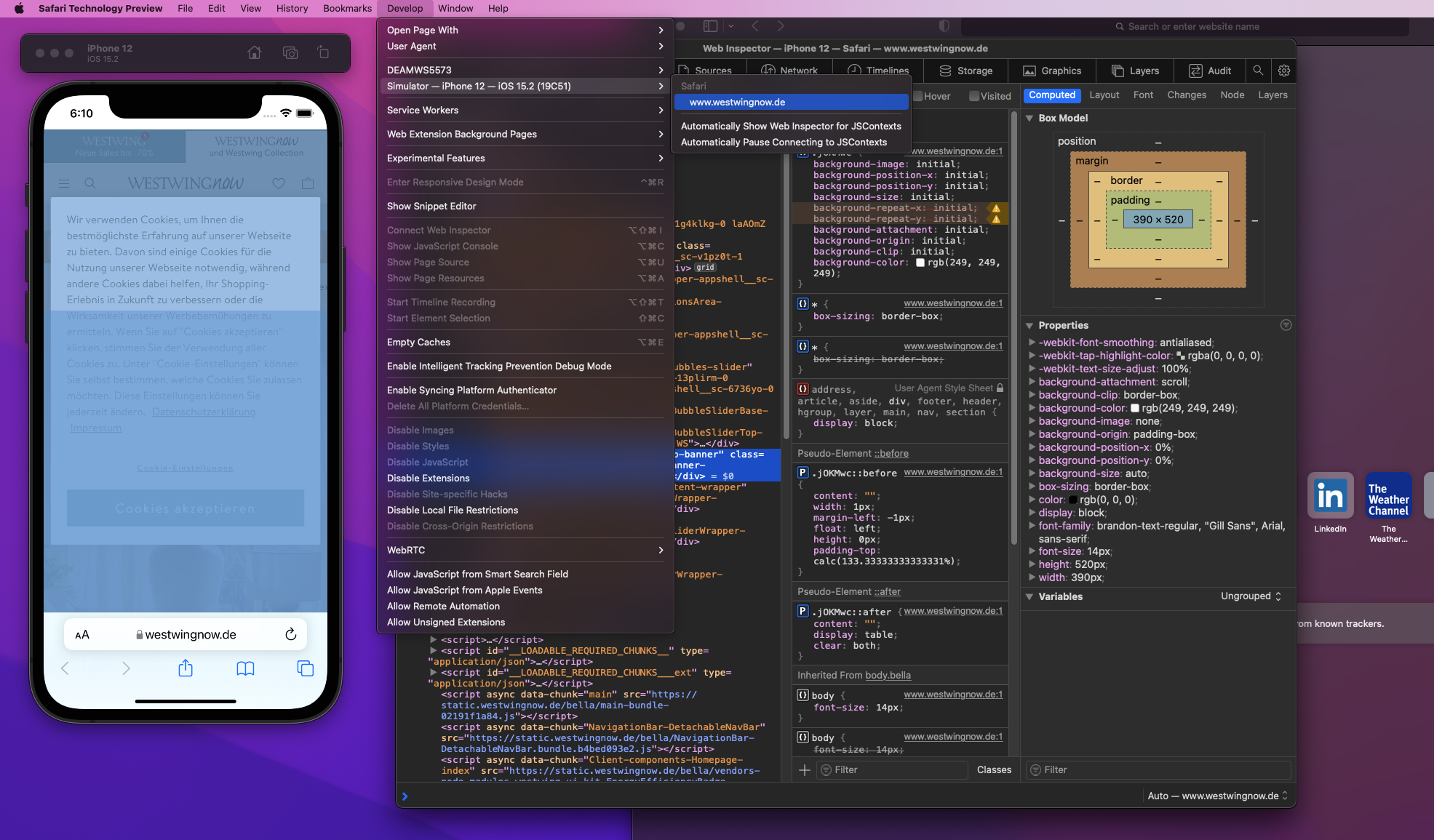 Connect the Safari dev tools